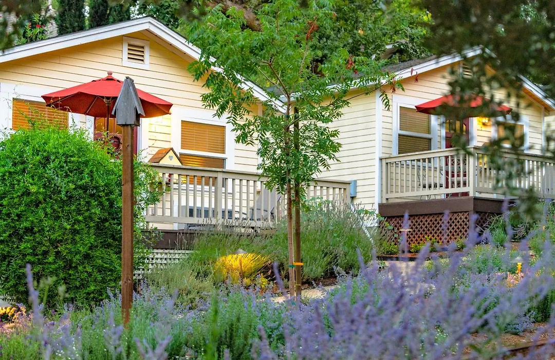 Aurora Park Cottages-1
